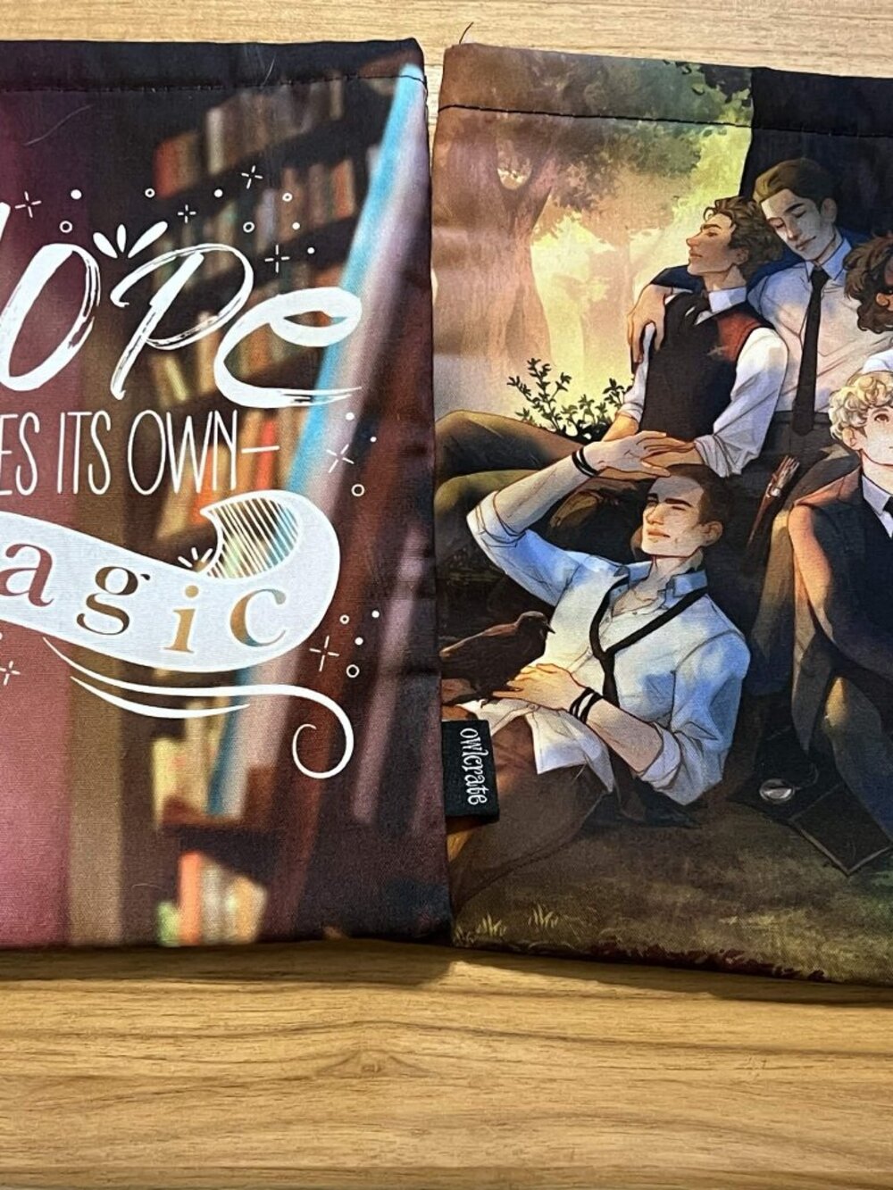 New Owlcrate Daughter of Smoke and Bone and Raven Boys Book Sleeves